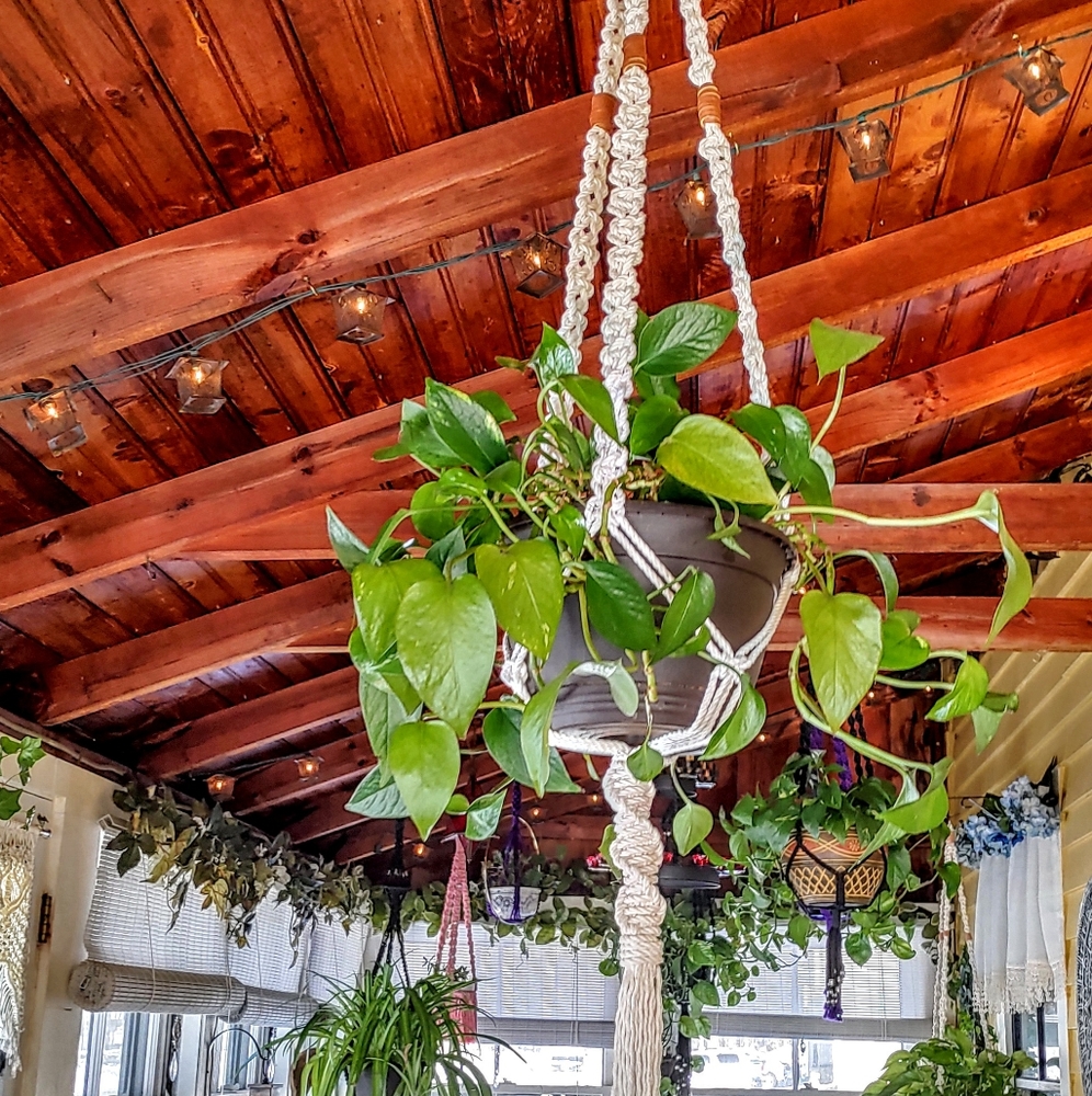 Natural Cotton & Suede Boho Plant Hanger - Picture 2 of 8